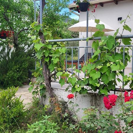 Ioannis Houses - Gemuetliches Ferienhaus Im Olivenhain Скала-Потамьяс Екстер'єр фото