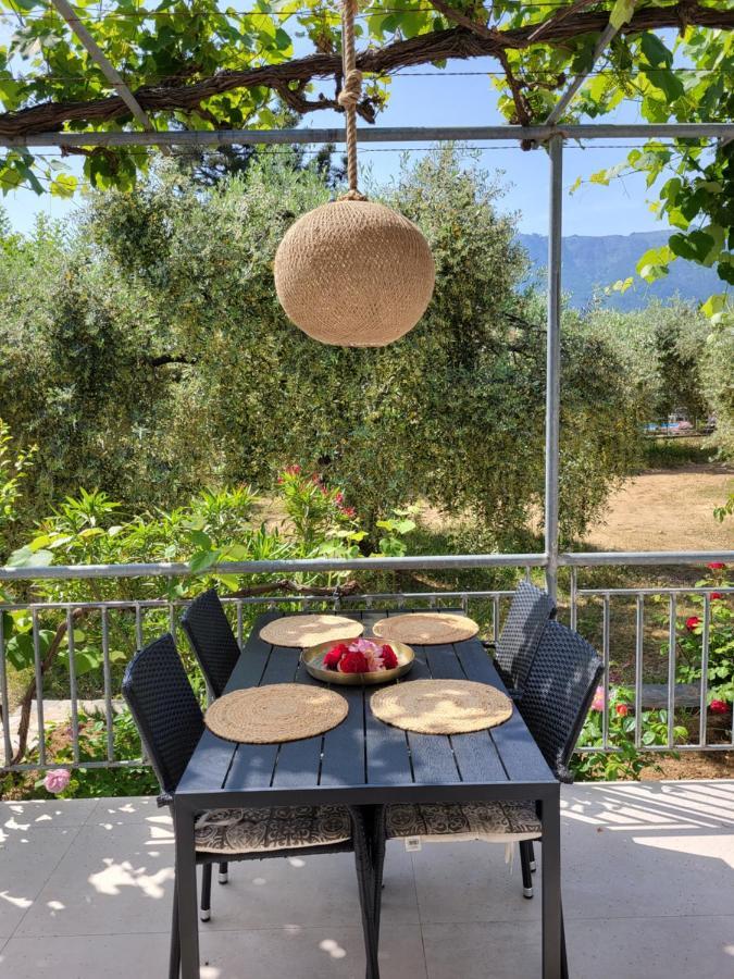 Ioannis Houses - Gemuetliches Ferienhaus Im Olivenhain Скала-Потамьяс Екстер'єр фото