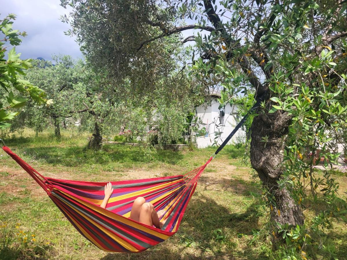 Ioannis Houses - Gemuetliches Ferienhaus Im Olivenhain Скала-Потамьяс Екстер'єр фото