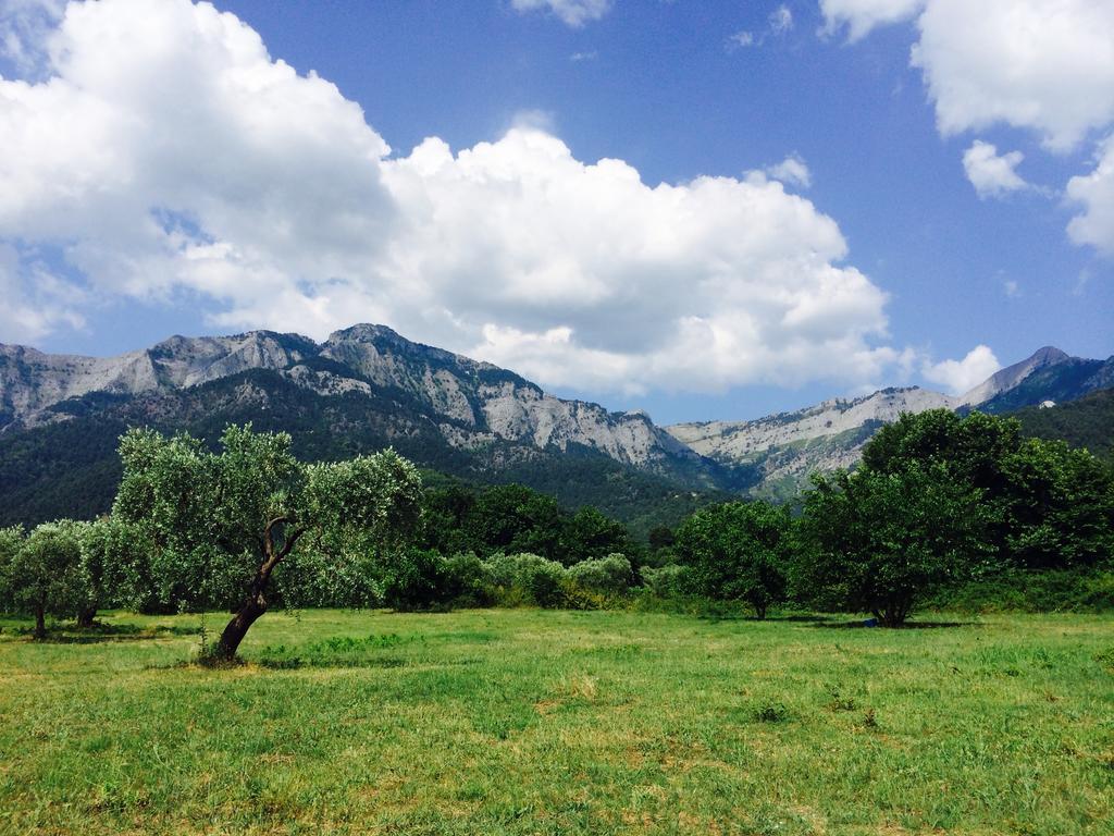 Ioannis Houses - Gemuetliches Ferienhaus Im Olivenhain Скала-Потамьяс Екстер'єр фото